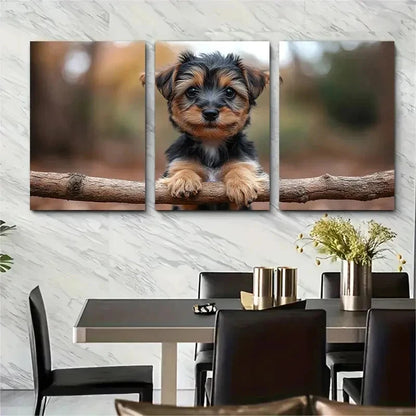 3pcs Adorable Yorkshire Terrier Puppy Perfect Wall Art Set Canvas Framed 50x70cm - High Quality Print 100% Australian Made Wall Canvas Ready to Hang - Bella Home Decor