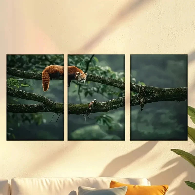 3pcs Sleeping Red Panda Wall Art Set Canvas Framed 60x90cm - High Quality Print 100% Australian Made Wall Canvas Ready to Hang