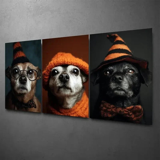 3pcs Cute Old Lady Dog COL Wall Art Canvas Framed 40x60cm - High Quality Print 100% Australian Made Wall Canvas Ready to Hang