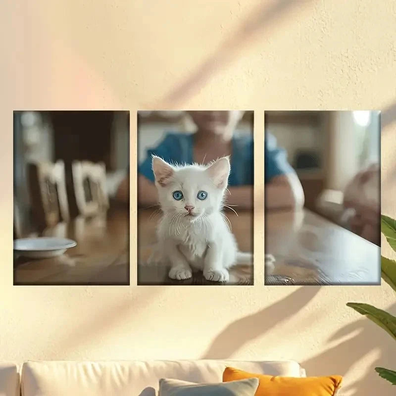 3pcs Cute white cat Wall Art Set Canvas Framed 50x70cm - High Quality Print 100% Australian Made Wall Canvas Ready to Hang - Bella Home Decor