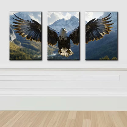 3pcs Majestic Eagle Nature-Inspired Wall Art Set Canvas Framed 50x70cm - High Quality Print 100% Australian Made Wall Canvas Ready to Hang