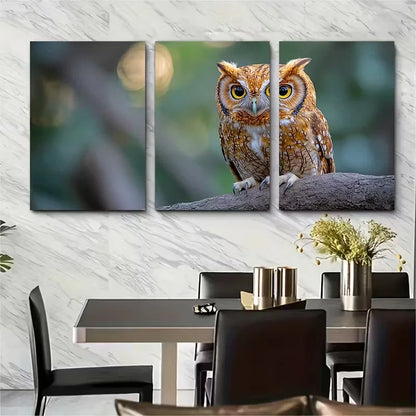 3pcs Eastern Screech Owl Abstract Metal Print Ready to Hang Art - Bella Home Decor