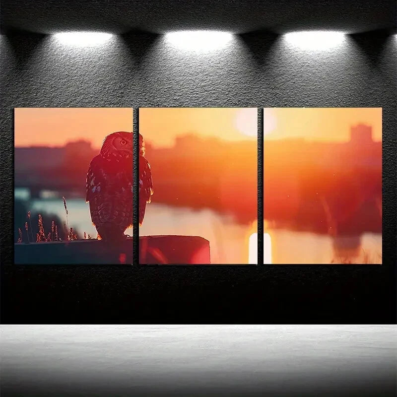 3pcs Vibrant Swamp Owl Illustration Metal Print Ready to Hang Art