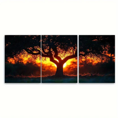 3pcs Sunset Through Tree Shadow   Wall Art Set Canvas Framed 50x70cm - High Quality Print 100% Australian Made Wall Canvas Ready to Hang - Bella Home Decor