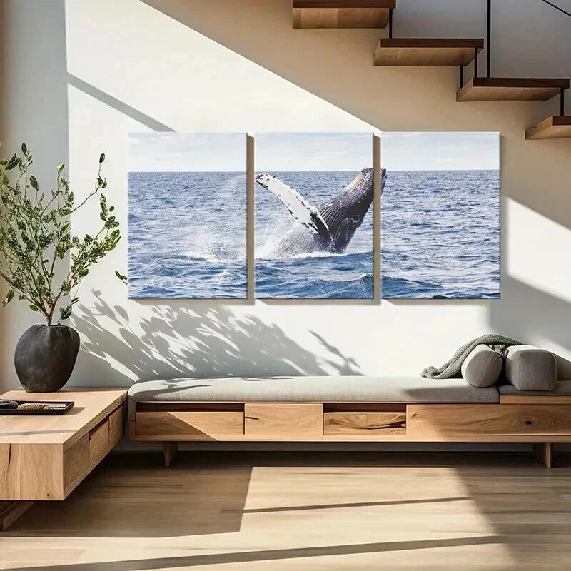3pcs Sea Life Mammals Whale Portrait Wall Art Set Canvas Framed 50x70cm - High Quality Print 100% Australian Made Wall Canvas Ready to Hang - Bella Home Decor