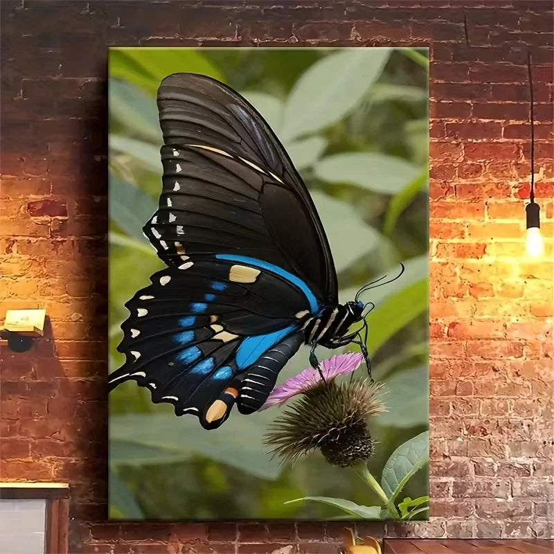 Black and Blue Swallowtail Butterfly 60x90cm Metal Print Ready to Hang