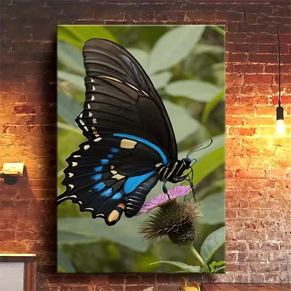 Black and Blue Swallowtail Butterfly 60x90cm Metal Print Ready to Hang