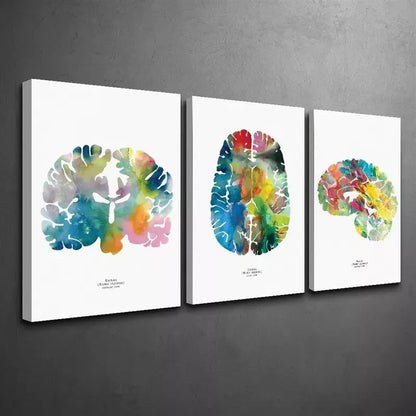 3pcs Neurology & Psychology Wall Art Canvas Unframed - High Quality Print 100% Australian Made Wall Canvas