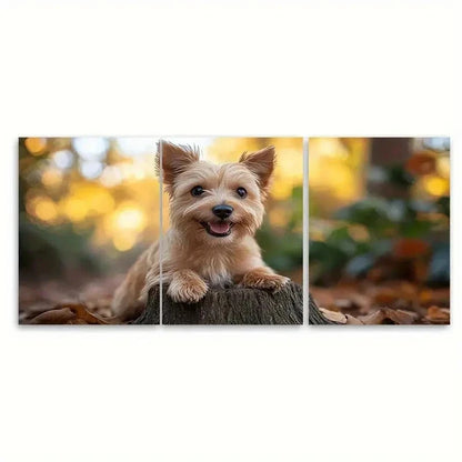 3pcs Norwich Terrier Dog BT    Wall Art Set Canvas Framed 60x90cm - High Quality Print 100% Australian Made Wall Canvas Ready to Hang