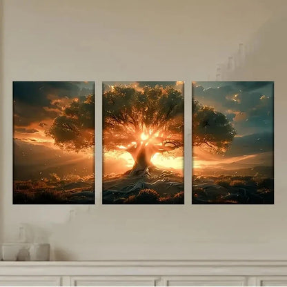 3pcs a tree with the sun shining through it Wall Art Set Canvas Framed 50x70cm - High Quality Print 100% Australian Made Wall Canvas Ready to Hang - Bella Home Decor