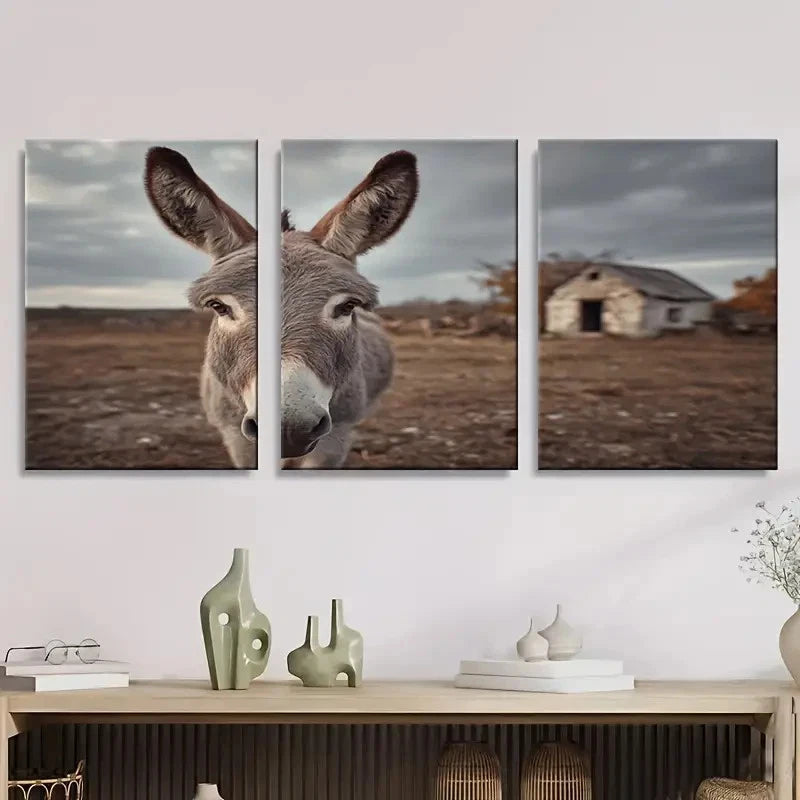 3pcs Farm Animal Donkey Wall Art Set Canvas Framed 40x60cm - High Quality Print 100% Australian Made Wall Canvas Ready to Hang
