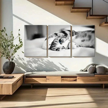 3pcs Pet Art Cute Cat Modern Decoration Wall Art Set Canvas Framed 60x90cm - High Quality Print 100% Australian Made Wall Canvas Ready to Hang
