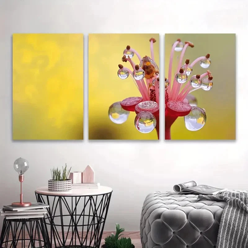 3pcs Vibrant Pink Flower with Water Droplets Wall Art Set Canvas Framed 50x70cm - High Quality Print 100% Australian Made Wall Canvas Ready to Hang