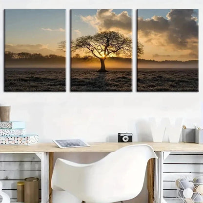 3pcs Tree Of Life On Prairie Sunset Landscape Wall Art Set Canvas Framed 50x70cm - High Quality Print 100% Australian Made Wall Canvas Ready to Hang