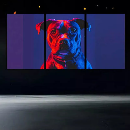 3pcsBull Dog Under Dual lights Wall Art Set Canvas Framed 50x70cm - High Quality Print 100% Australian Made Wall Canvas Ready to Hang