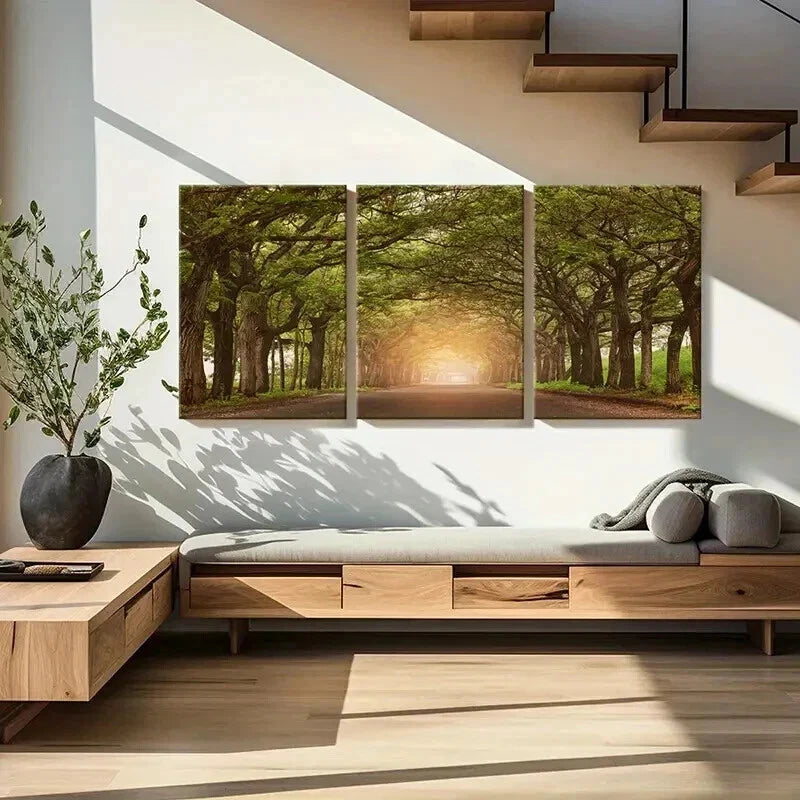 3pcs Sunshine Through Trees Roads Modern Wall Art Set Canvas Framed 50x70cm - High Quality Print 100% Australian Made Wall Canvas Ready to Hang - Bella Home Decor