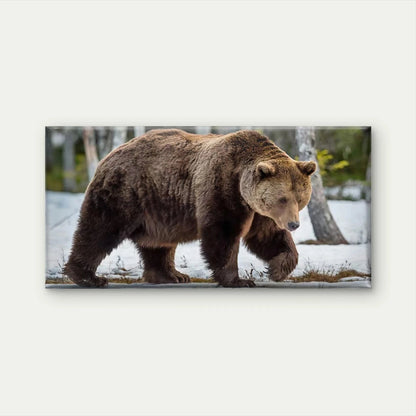Brown Bear Walking in Snow Wall Art Canvas Office Home Room Framed 120x60cm