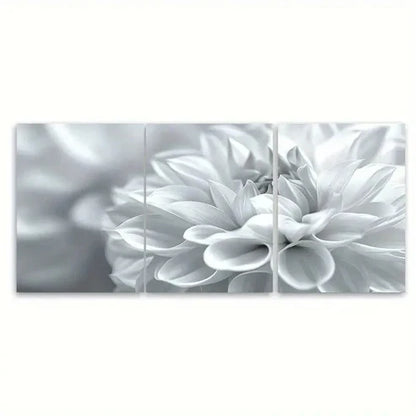 3pcs White Floral Abstract Blooming Flower Petal Wall Art Canvas Unframed - High Quality Print 100% Australian Made Wall Canvas