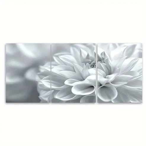 3pcs White Floral Abstract Blooming Flower Petal Wall Art Canvas Unframed - High Quality Print 100% Australian Made Wall Canvas