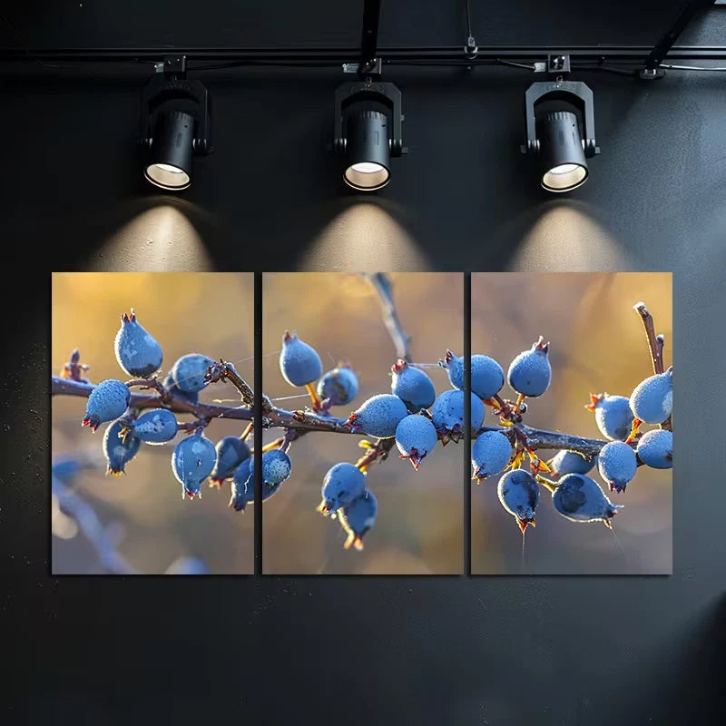 3pcs The Berries of the Bearberry plant Wall Art Set Canvas Framed 60x90cm - High Quality Print 100% Australian Made Wall Canvas Ready to Hang