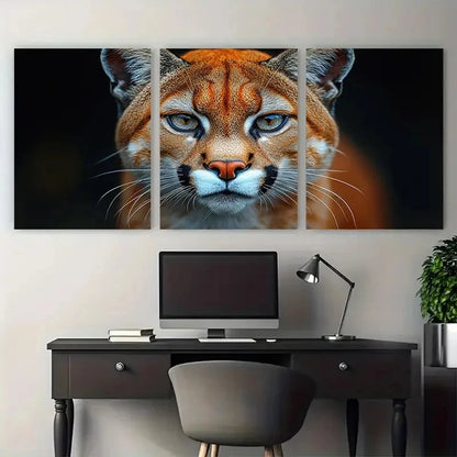 3pcs American Puma Close Up Macro Photography Metal Print Ready to Hang Art