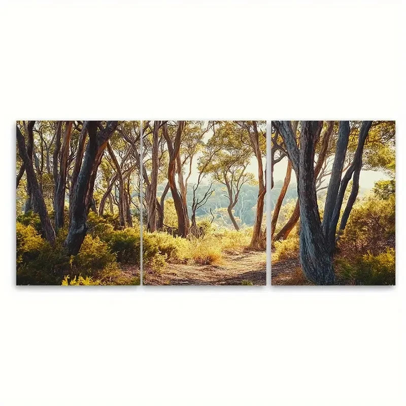 3pcs Margaret River Australia Landscape  Wall Art Set Canvas Framed 50x70cm - High Quality Print 100% Australian Made Wall Canvas Ready to Hang