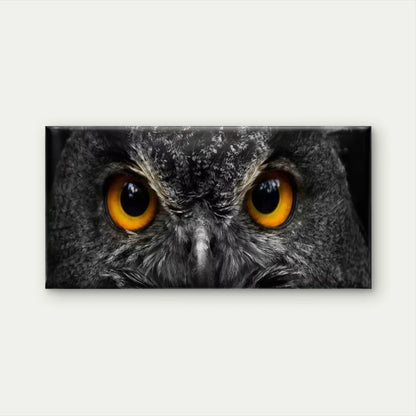Minimalist & Golden Owl Eyes Wall Art Canvas Office Home Room Framed 120x60cm