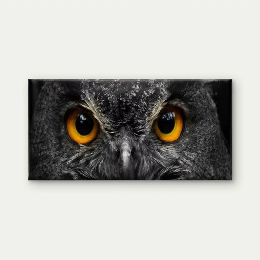 Minimalist & Golden Owl Eyes Wall Art Canvas Office Home Room Framed 120x60cm