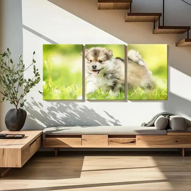 3pcs Brown Puppy on Green Grass Painting  Wall Art Set Canvas Framed 40x60cm - High Quality Print 100% Australian Made Wall Canvas Ready to Hang - Bella Home Decor