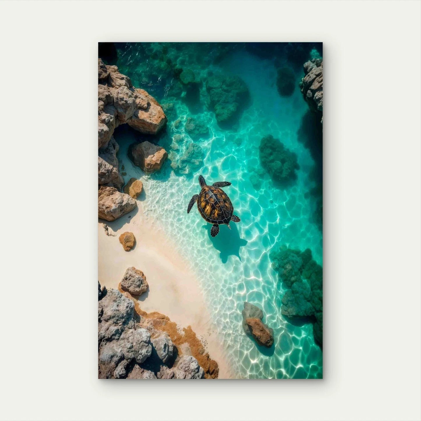 Sea Life With Aquatic Animal 60x90cm Metal Print Ready to Hang