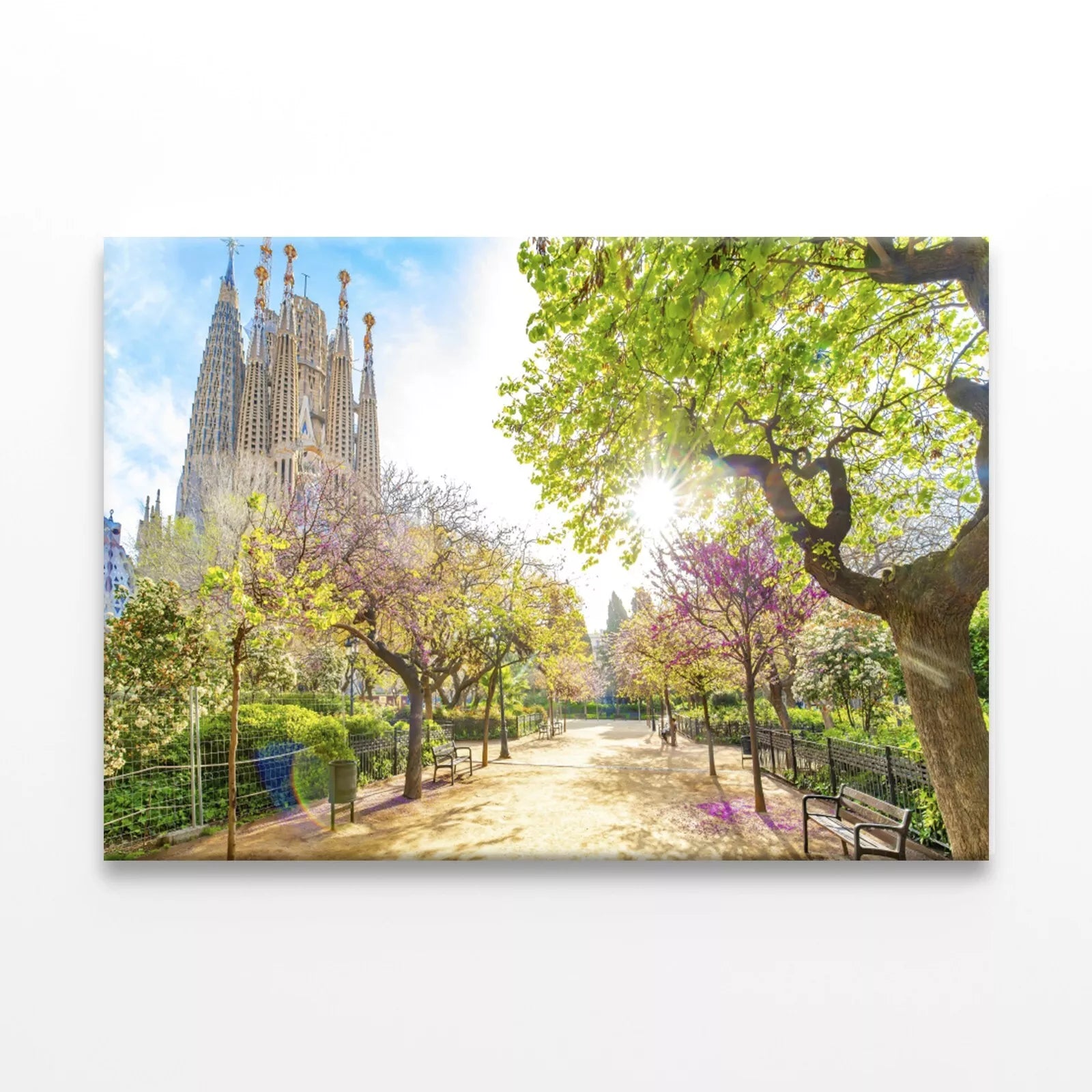 Blooming Spring Park In Barcelona Wall Art Decor 100% Australian Made - Bella Home Decor