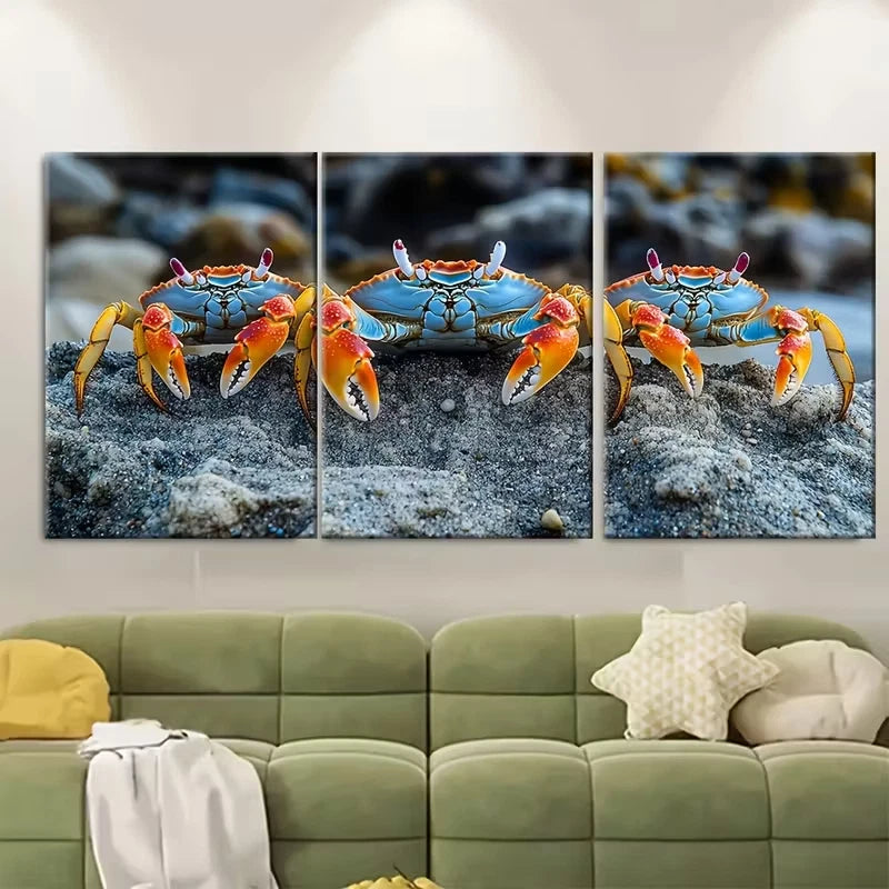 3pcs Sally Lightfoot Red Crabs Seashore Metal Print Ready to Hang Art