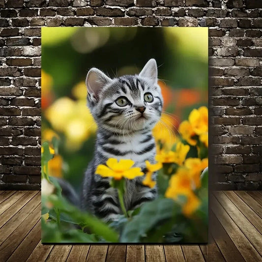 Adorable American Shorthair Kitten with Vibrant 40x60cm Metal Print Ready to Hang