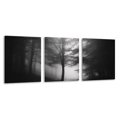 3pcs Black & White Forest Foggy Tree Landscape Wall Art Set Canvas Framed 40x60cm - High Quality Print 100% Australian Made Wall Canvas Ready to Hang - Bella Home Decor