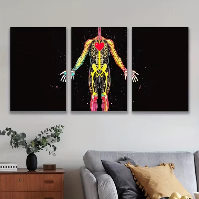 3pcs Vibrant Human Body Anatomy Metal Print Ready to Hang Art