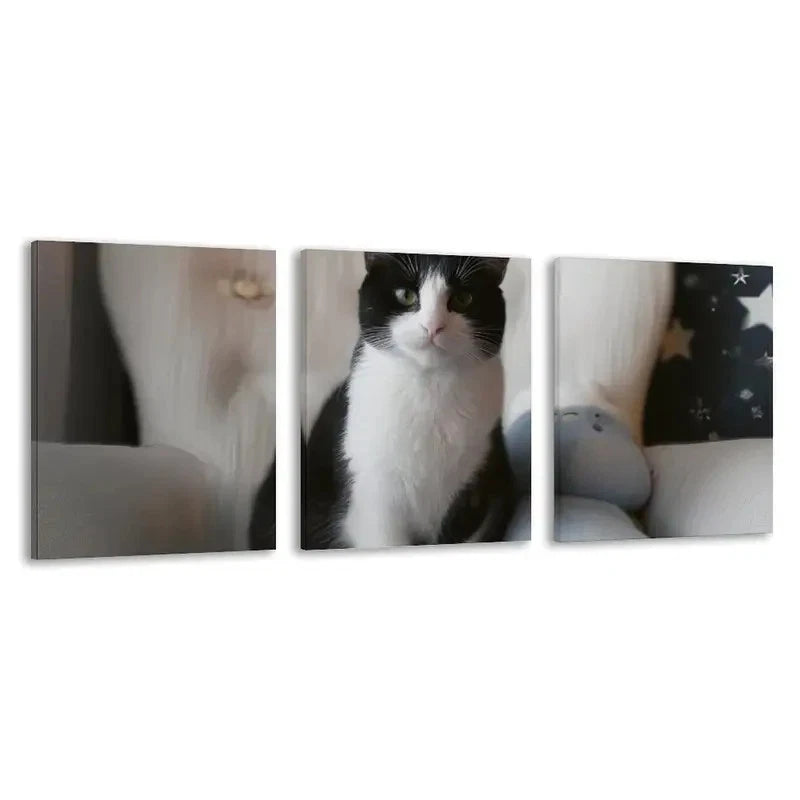 3pcs Modern Black and White Cat Painting    Wall Art Set Canvas Framed 40x60cm - High Quality Print 100% Australian Made Wall Canvas Ready to Hang