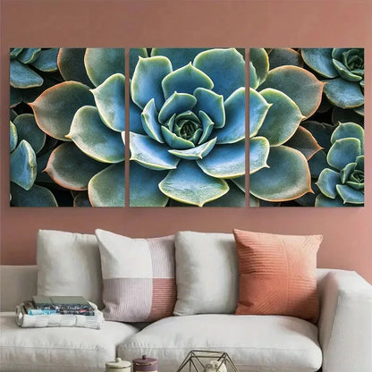3pcs Echeveria Succulent Macro Botanical Wall Art Set Canvas Framed 40x60cm - High Quality Print 100% Australian Made Wall Canvas Ready to Hang - Bella Home Decor