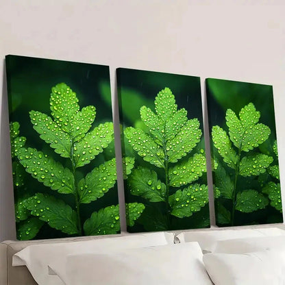 3pcs Plant Art Green Art Microlepia N   Wall Art Set Canvas Framed 60x90cm - High Quality Print 100% Australian Made Wall Canvas Ready to Hang
