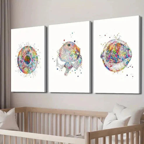 3pcs Eye Clinic Poster with Anatomy Illustration Wall Art Set Canvas Unframed - High Quality Print 100% Australian Made Wall Canvas