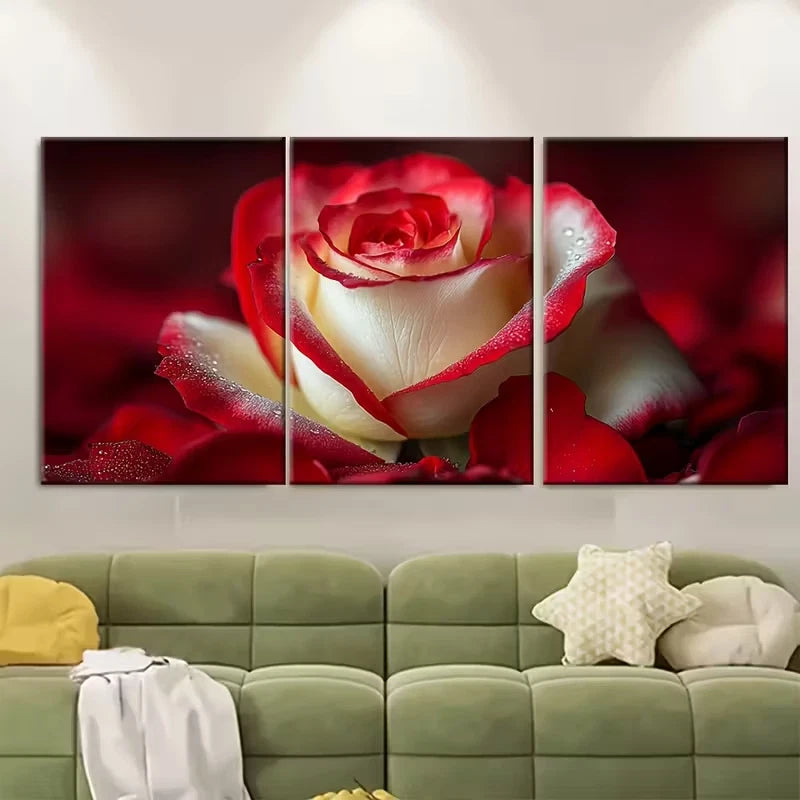 3pcs Red White Rose Petals Metal Print Ready to Hang Art