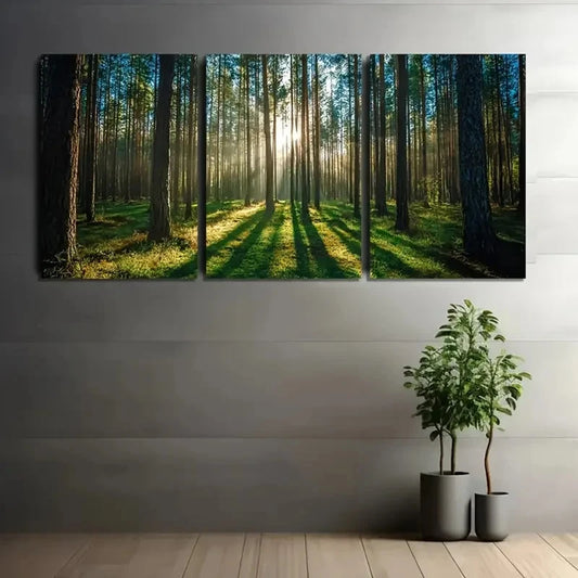 3pcs Trees Green Grass & Dirt Pathway Wall Art Set Canvas Framed 50x70cm - High Quality Print 100% Australian Made Wall Canvas Ready to Hang