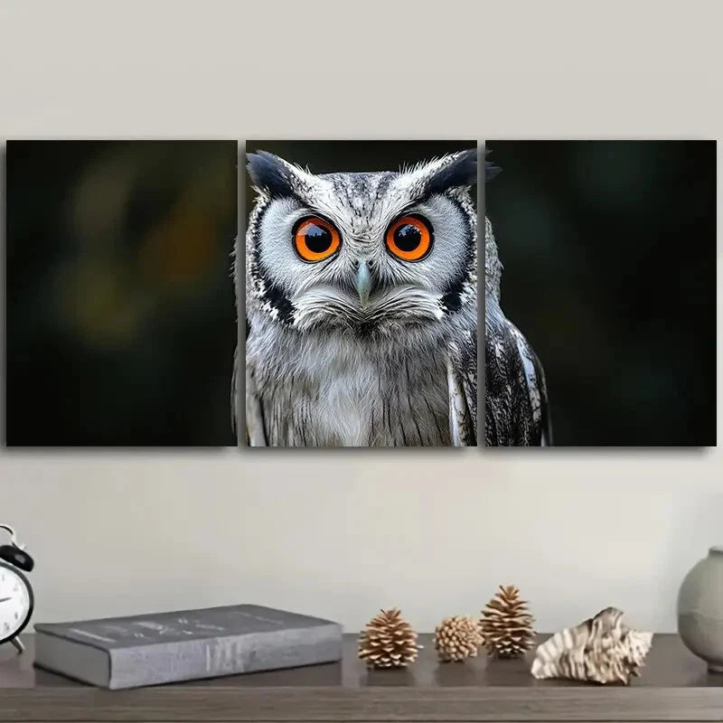 3pcs A photo of an owl with orange eyes Wall Art Set Canvas Framed 40x60cm - High Quality Print 100% Australian Made Wall Canvas Ready to Hang