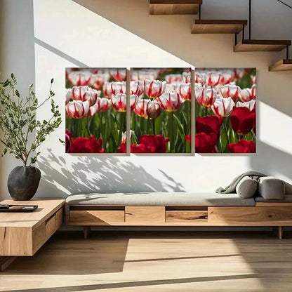 3pcs Flower Art Roses Modern Wall Art Set Canvas Framed 50x70cm - High Quality Print 100% Australian Made Wall Canvas Ready to Hang - Bella Home Decor