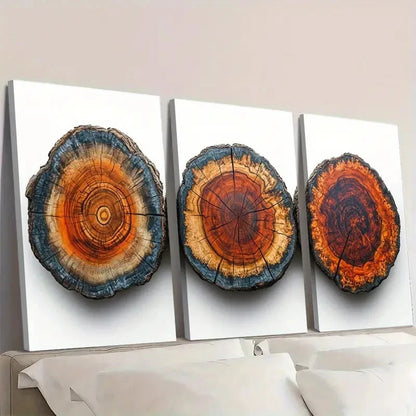 3pcs Wood Tree Rings  PL  Wall Art Set Canvas Framed 60x90cm - High Quality Print 100% Australian Made Wall Canvas Ready to Hang