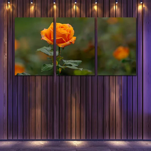 3pcs Vibrant Orange Roses in Full Bloom Wall Art Set Canvas Framed 60x90cm - High Quality Print 100% Australian Made Wall Canvas Ready to Hang