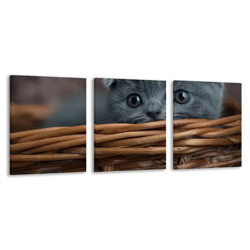 3pcs A Tiny Kitten Peeks From Basket  Wall Art Set Canvas Framed 40x60cm - High Quality Print 100% Australian Made Wall Canvas Ready to Hang - Bella Home Decor