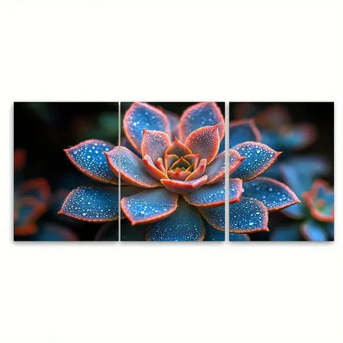 3pcs Vibrant Abstract Succulent Floral PhotoWall Art Set Canvas Unframed - High Quality Print 100% Australian Made Wall Canvas