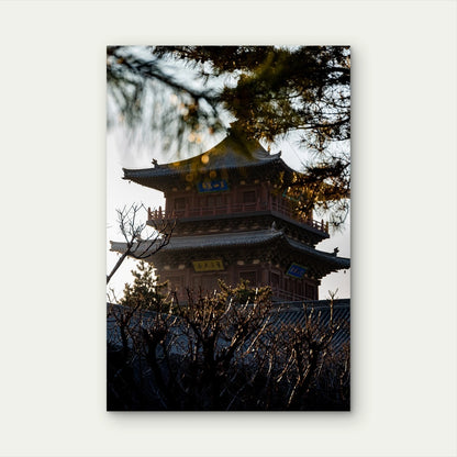 Moody Sunset Pagoda Pine Branches Silhouette 40x60cm Metal Print Ready to Hang