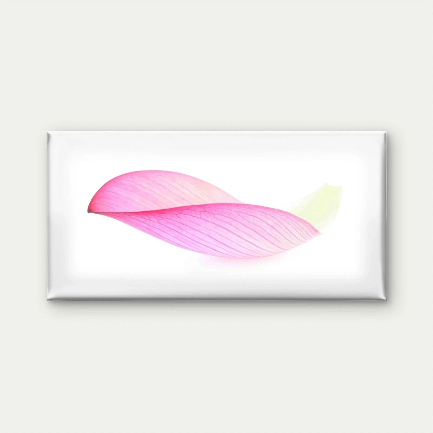 Lotus Isolated On White Wall Art Canvas Office Home Room Framed 120x60cm