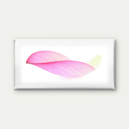 Lotus Isolated On White Wall Art Canvas Office Home Room Framed 120x60cm
